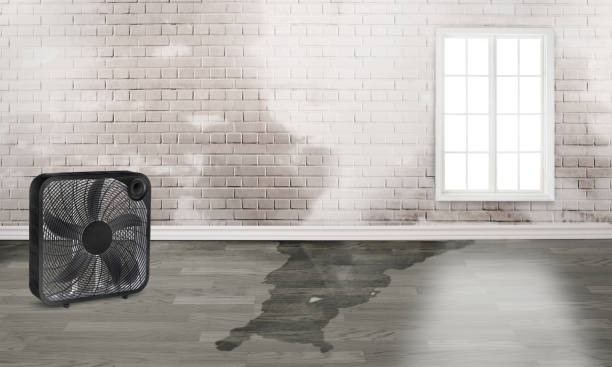 Best Commercial water damage restoration  in North Bellmore, NY