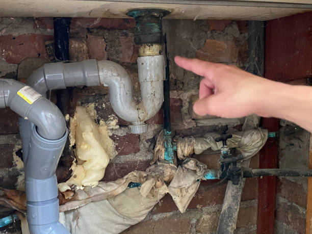 Best 24/7 water damage repair  in North Bellmore, NY